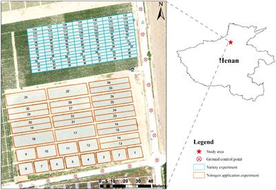 Evaluating how lodging affects maize yield estimation based on UAV observations